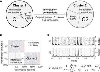 Neuronal Degeneration Impairs Rhythms Between Connected Microcircuits